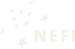 Network of European Financial Institutions for SMEs